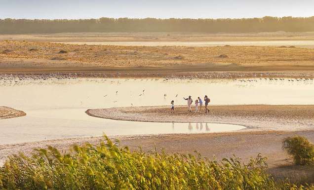 Al Wathba Wetlands, Abu Dhabi