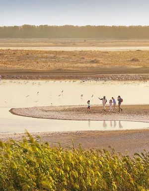 Al Wathba Wetlands, Abu Dhabi