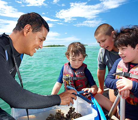 Marine excursion, Jean-Michel Cousteau Resort, Fiji
