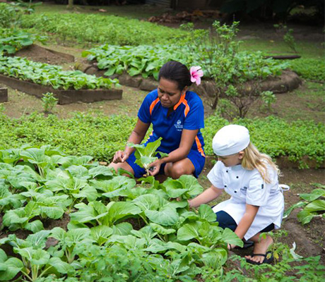 Junior Chef Program, Jean-Michel Cousteau Resort, Fiji