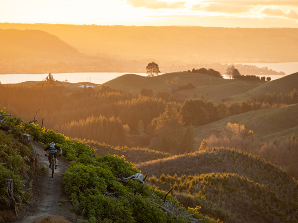 Mountain biking in Rotorua