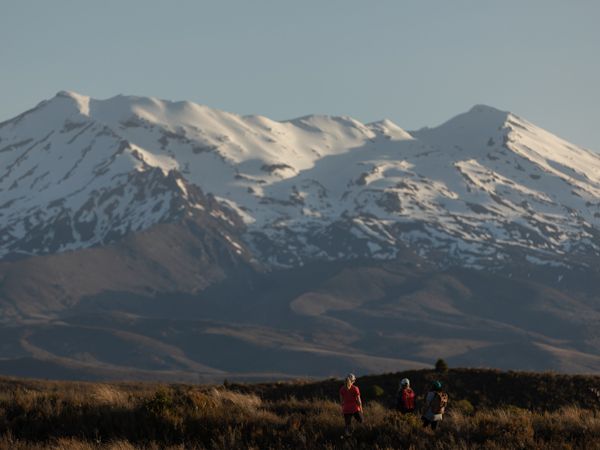 Ruapehu landscape.
