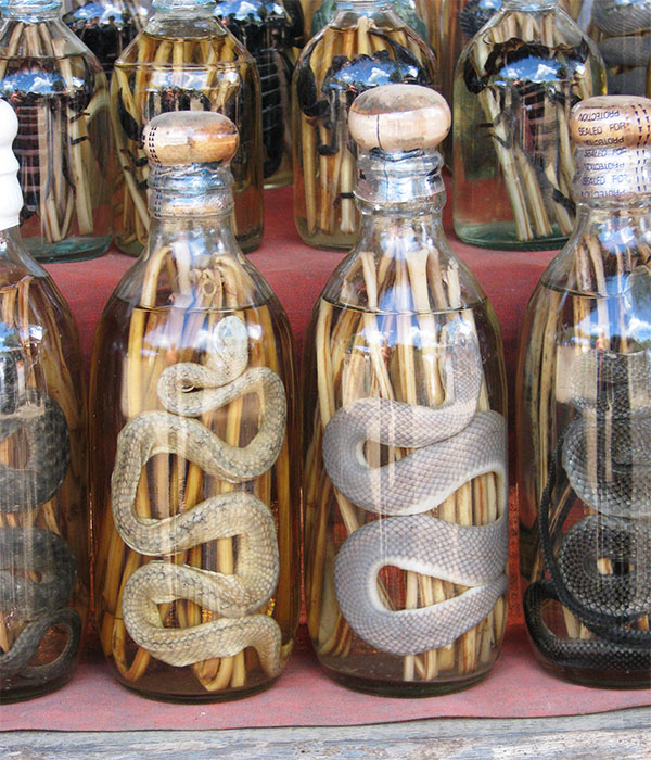 Snake wine is popular in Asian markets