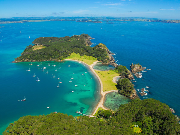 Roberton Island, Bay of Islands.