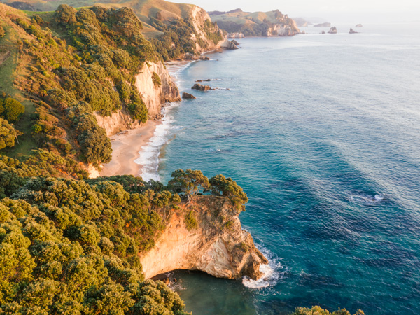 The Coramandel coastline.