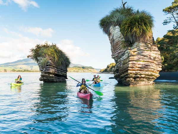 Paddle in Waikato