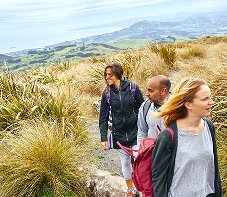 Activities, Flag staff walk, New Zealand