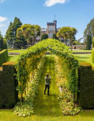 Larnach Castle gardens, Dunedin NZ