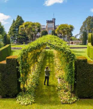 12 reasons Dunedin is New Zealand’s coolest city