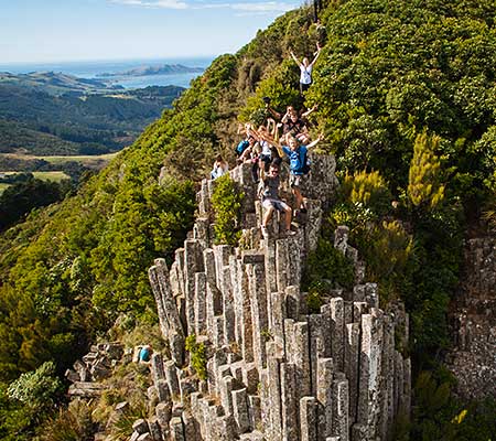 Organ pipes, Dunedin NZ