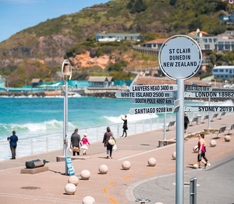 St Claire Beach Summer, New Zealand
