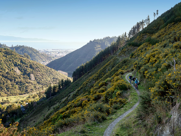 Coppermine Trail