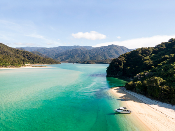 Awaroa Estuary