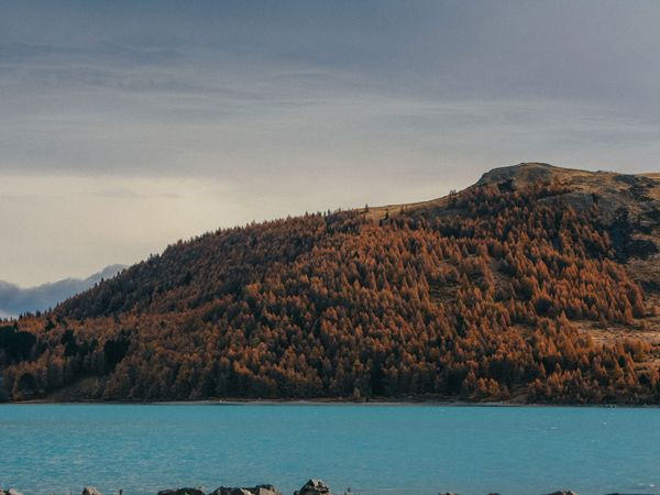 Lake Tekapo
