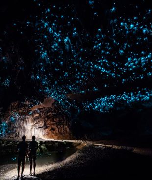 Bask in the glowworms of Waitomo Caves