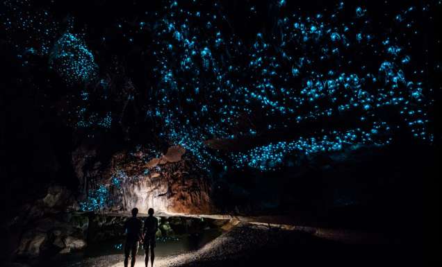 82. Bask in the glowworms of Waitomo Caves