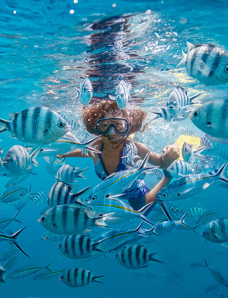 Island resorts, South Pacific, Fiji