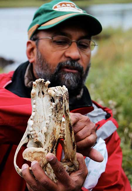Celes Davar, Elk Skull, Riding Mountain National Park, Manitoba, Canada