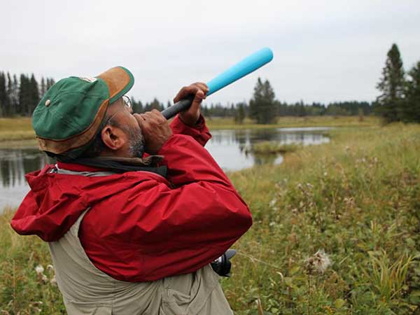 Celes Davar, Elk Call, Riding Mountain National Park, Manitoba, Canada