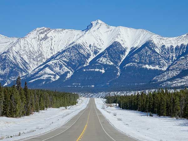 Snow, Icefield Parkway, Alberta, Canada