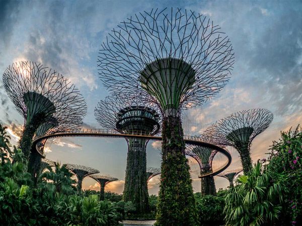 Singapore Gardens By The Bayardens by the Bay offers a scenic paradise for nature and photography lovers