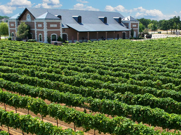 Delaney Vineyards in Grapevine Texas