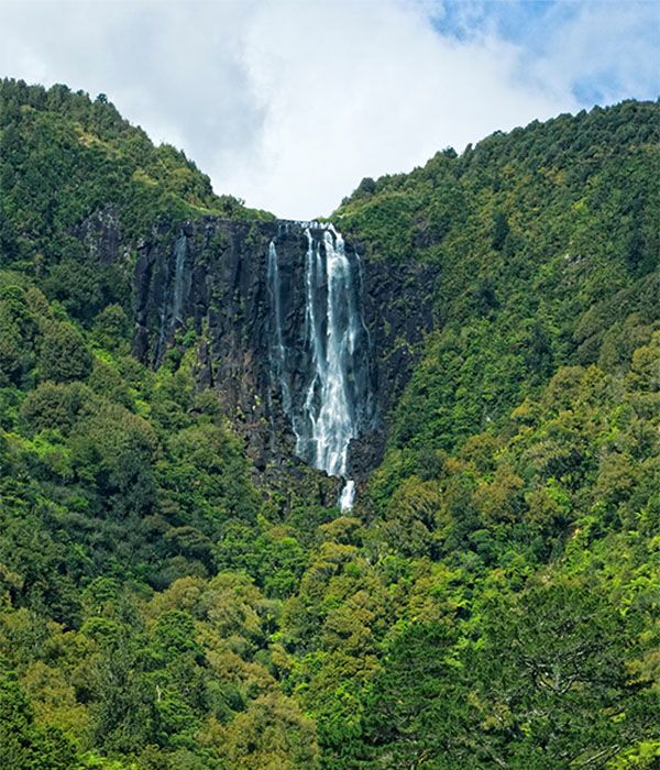 Wairere Falls.