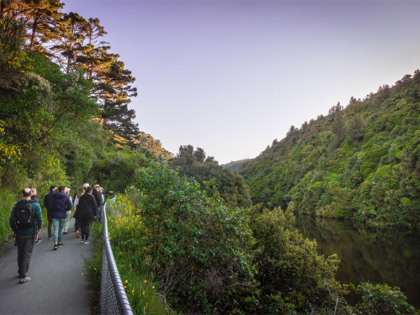 Zealandia