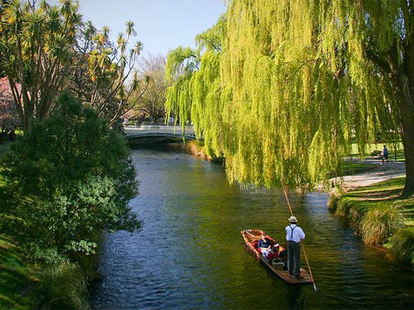 Punt the Avon River