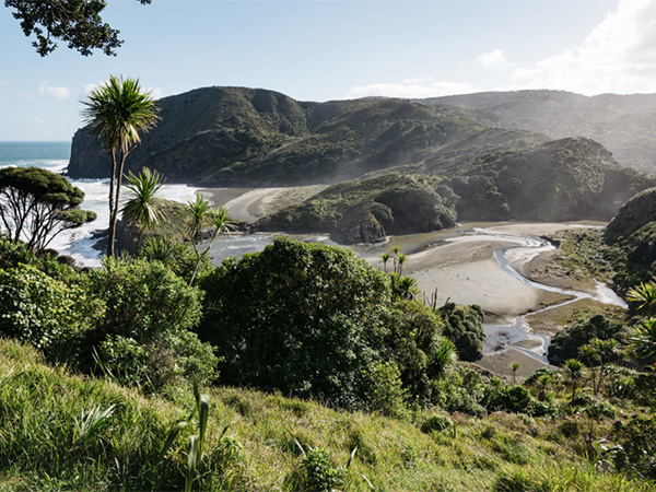 Waitakere Ranges