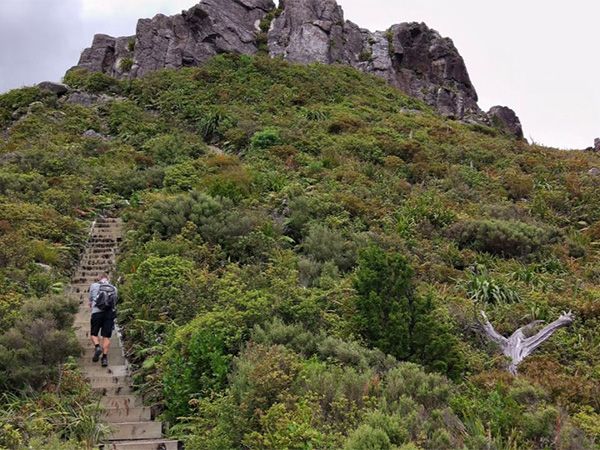 Hike The Pinnacles.
