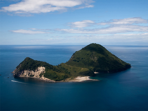 Whale Island - Moutohorā