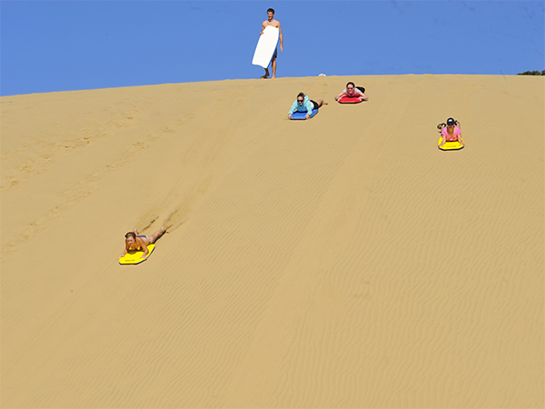 Sandboard down Hokianga's famous sand dunes.