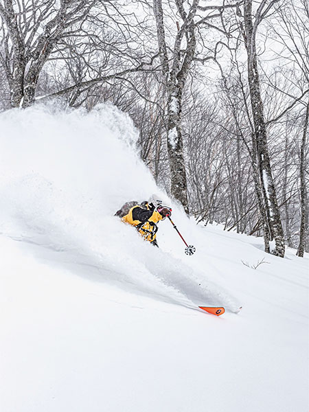 Skiing, Tsugaike Kogen Ski Resort, Japan