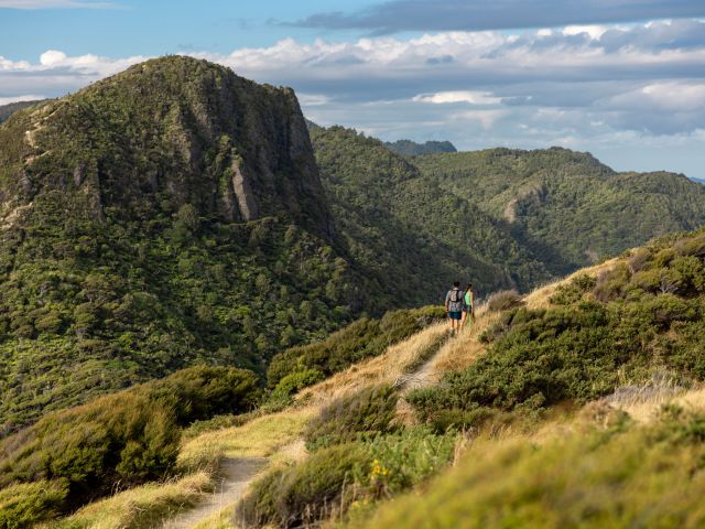 Waitakere Ranges, North Island, New Zealand