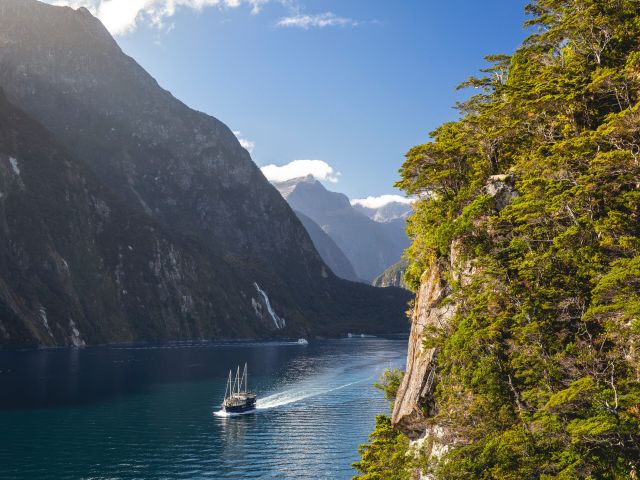 cruising the Milford Sound at South Island, New Zealand