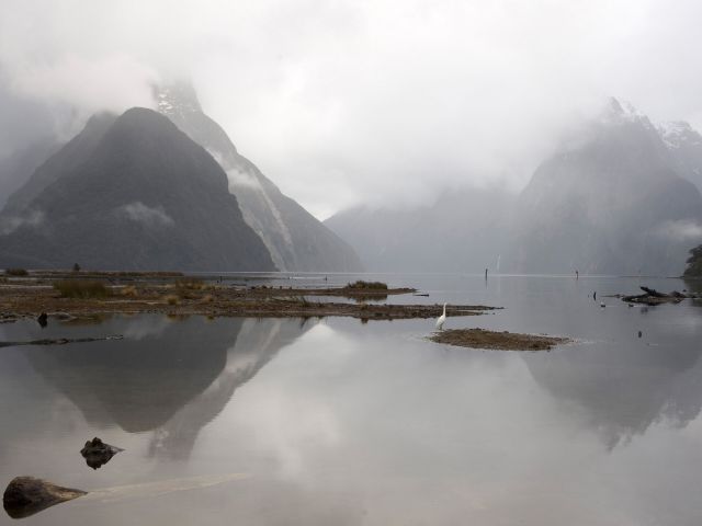 a misty landscape at Milford Sound Fiordland