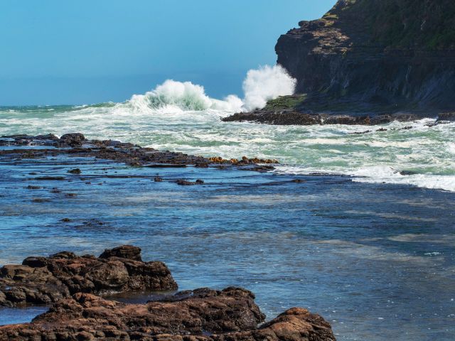 The Catlins, Curio Bay