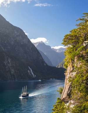 cruising the Milford Sound, South Island, New Zealand