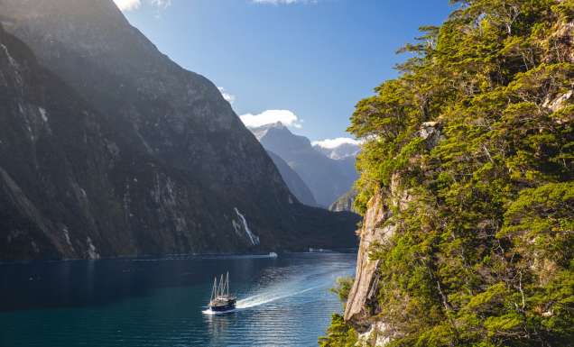 cruising the Milford Sound, South Island, New Zealand