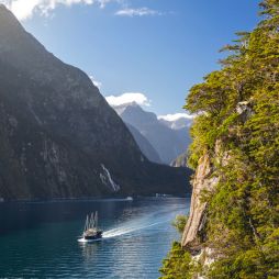 cruising the Milford Sound, South Island, New Zealand