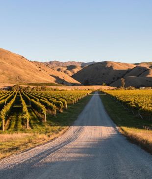 The perfect 5-day wine trail through New Zealand
