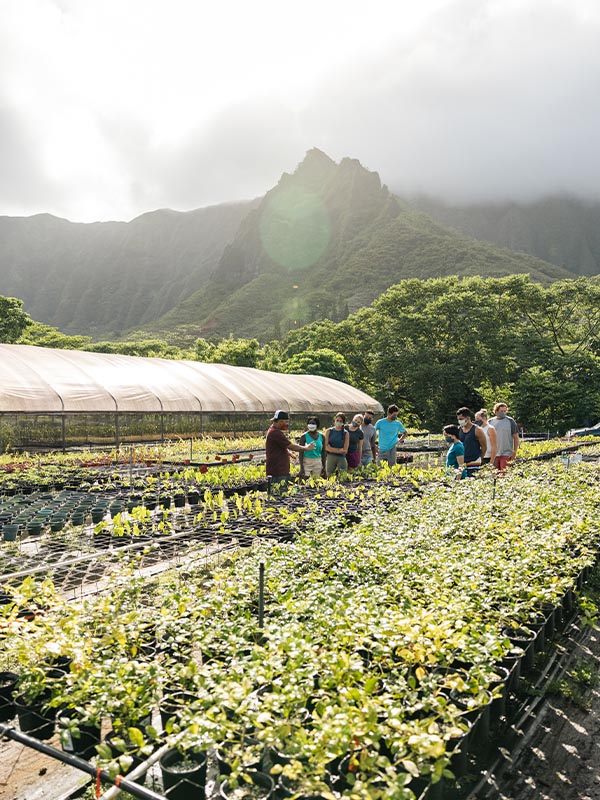 Community, Hawaii, USA, North America