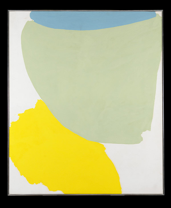 Dzubas Friedel Steppe 1964, Artwork in Israel Museum, Middle East