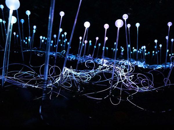 Field of Light, Marston Park, United Kingdom