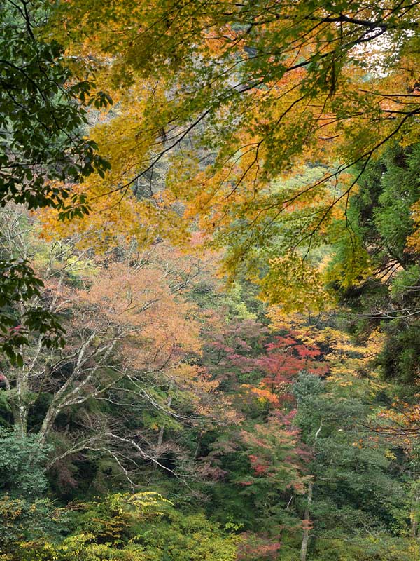 Takachiho, Japan