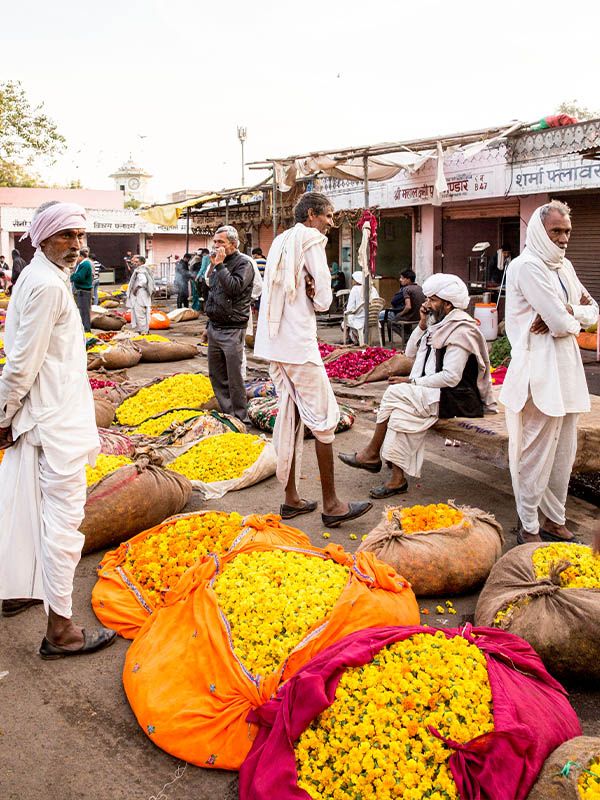 Flower Market, Rajasthan, India