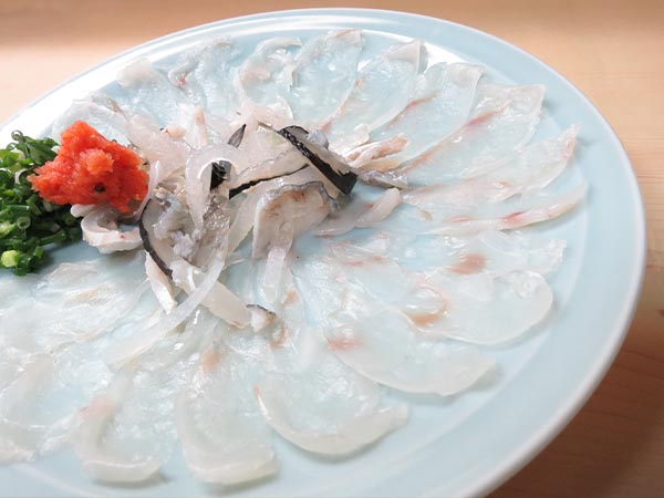 Fugu Sashimi, Kyushu, Japan