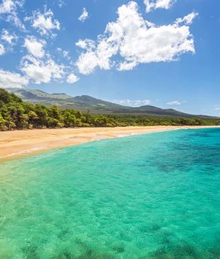 Hawaiian language guide