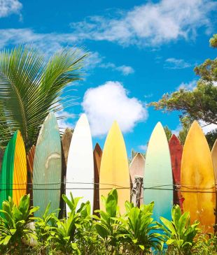 The new guide to Maui – The Valley Isle